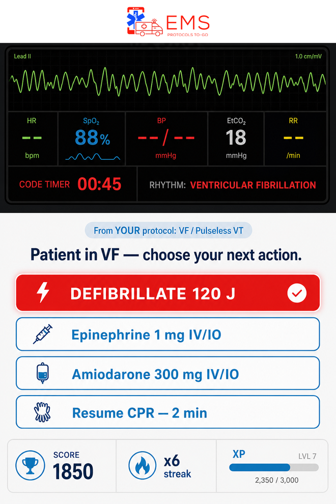 Protocol Mastery Code Simulator running a ventricular fibrillation scenario